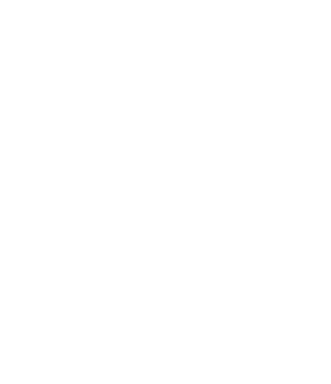 StyvenSoft